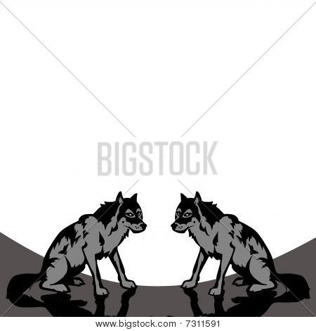 Wolfs 화이트