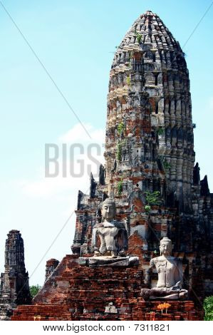 Buda