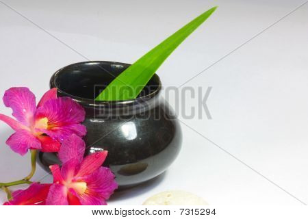 orchidée