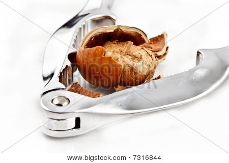 Nocciola rotta