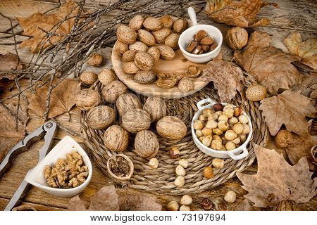 Autumn Nuts