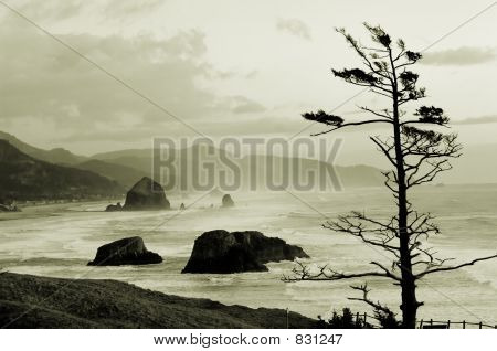 Cannon beach