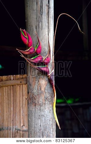 Heliconia Flower Decorated Bamboo Hut