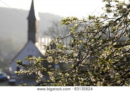 Cherry Tree And Chapel In The Spring
