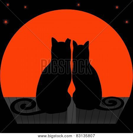 Cats On A Roof