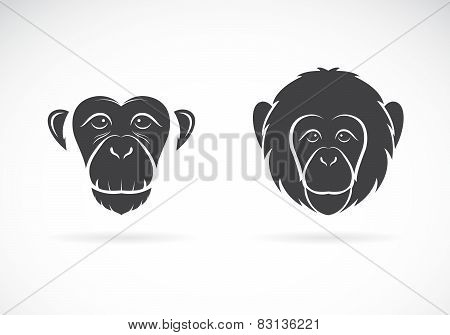 Vector Image Of Monkey Face