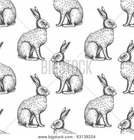 Vector Background With Hare Sketch.