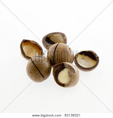 Shelled And shelled Macadamia Nuts On White Background