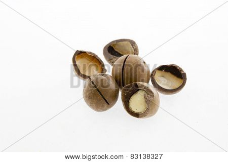 Shelled And shelled Macadamia Nuts On White Background