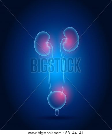 Kidneys Abstract Design. Bright Blue Background And Red Lights.