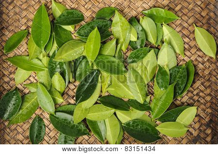 Green Leaf On Bamboo Mat