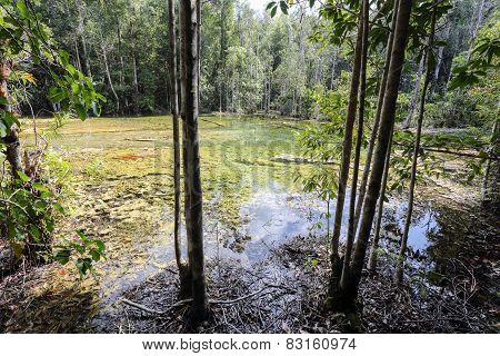 Emerald Pool