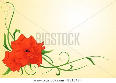 Fiore rosso