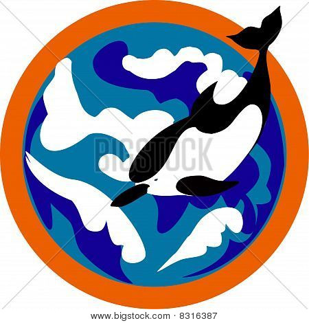 Delphin