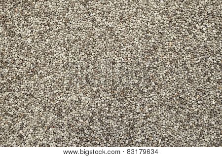 Poppy Seeds Background