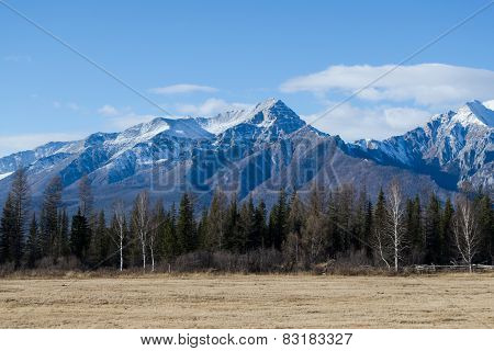 autumn landscape