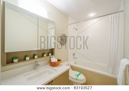 Interior design of a beautiful bathroom
