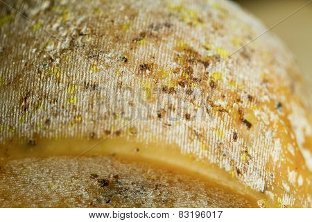 Aged Organic Gourmet Cheese Rind