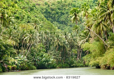 Tropical River