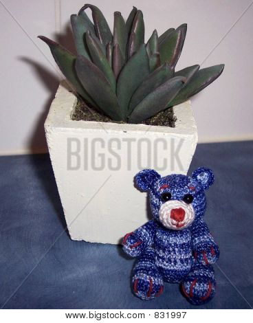 Miniatur Teddy bear