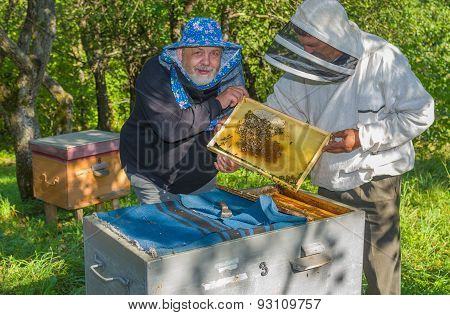Pair of Ukrainian bee-keepers at work place