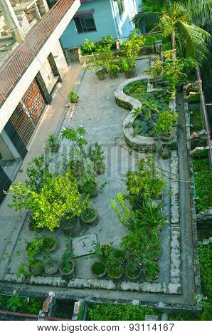 Close up Portrait image of Garden in house