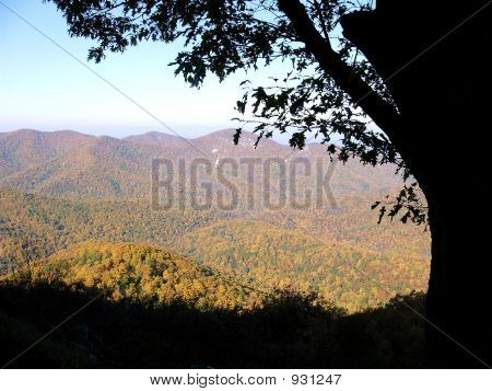 Overlook3