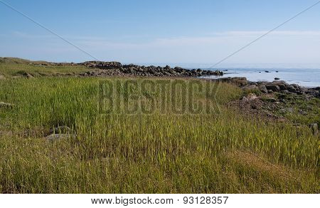 Heath seaside beach landscape