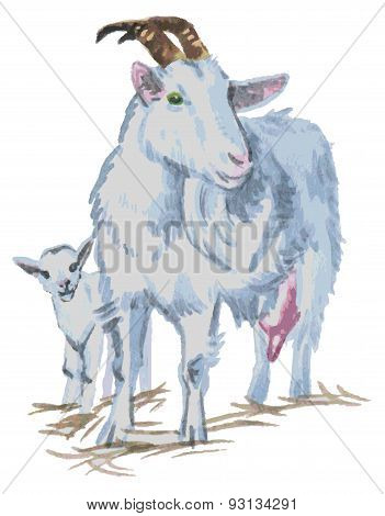 Goats Watercolor