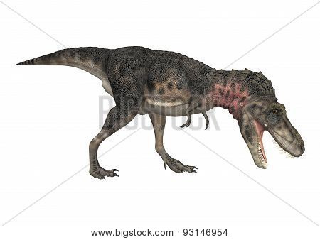 Dinosaur Tarbosaurus