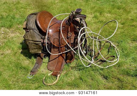 Saddle and Lariat