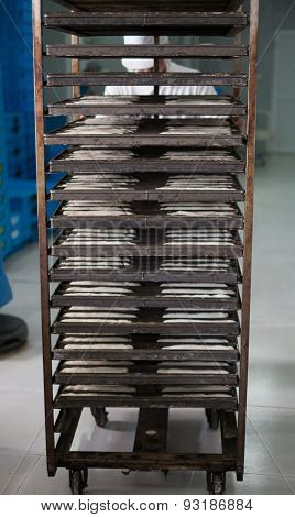 Tray Rack Of Soft Rolls Dough