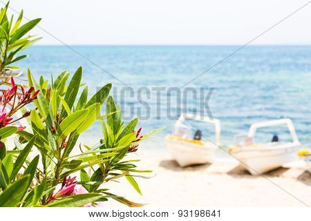 Pink Oleander Leafs, Blue Sea And Boats Summer Background
