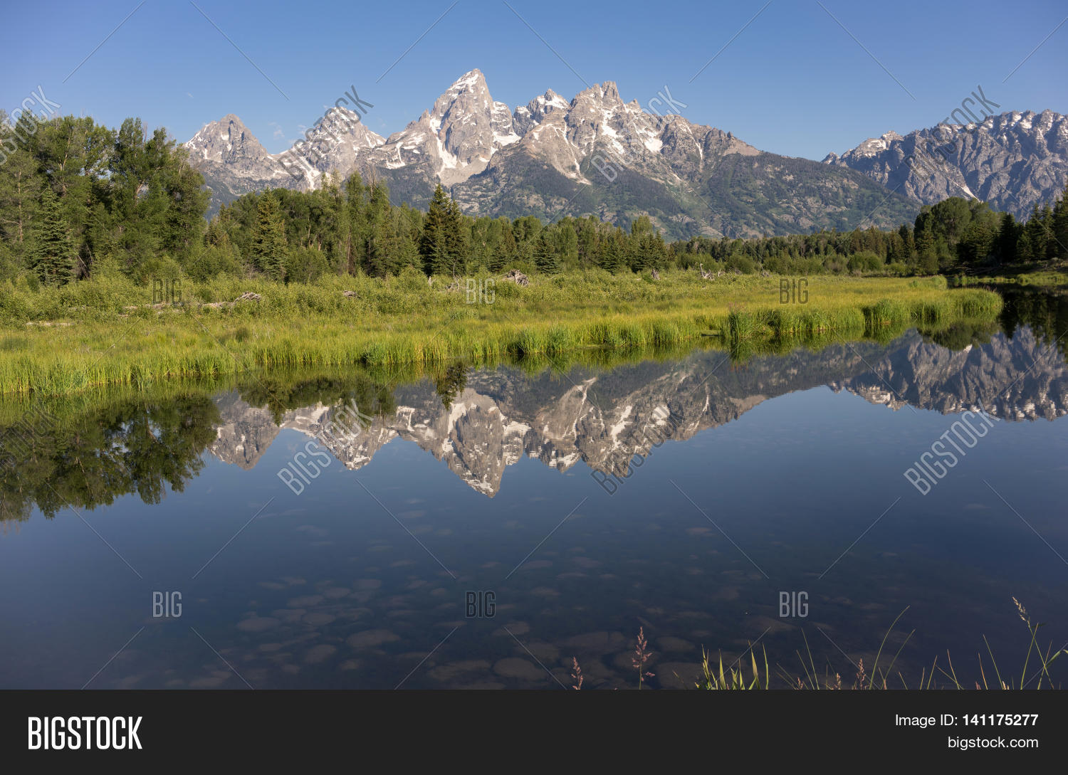 Image Preview
