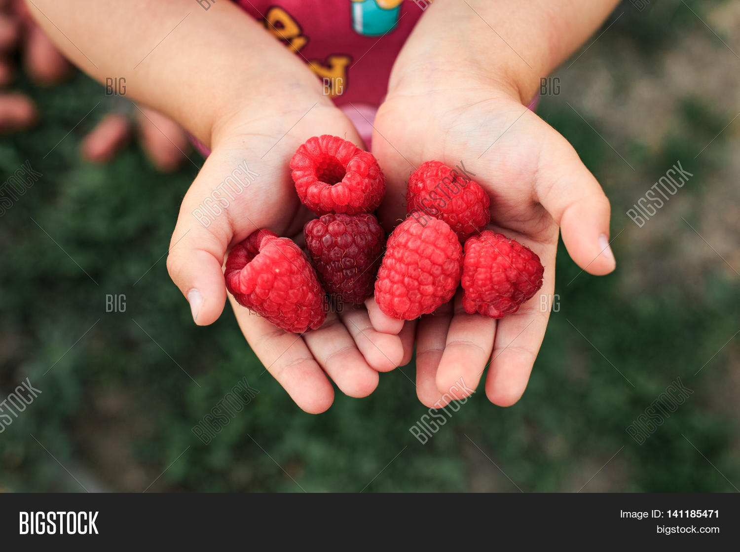 Image Preview