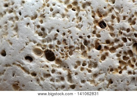 Surface of a carbonate rock with boring traces of organisms.
