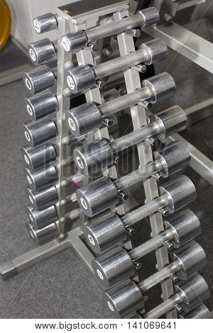 elements gym barbell dumbbell equipment Indoor Physical