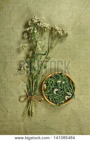 Yarrow.Dried herbs for use in alternative medicine.Herbal medicine phytotherapy medicinal herbs.For preparation of infusions decoctions tinctures powders ointments tea.Background green cloth