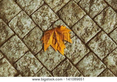 Autumn golden orange maple laef lying on the city cobblestone, autumn vintage hipster seasonal background