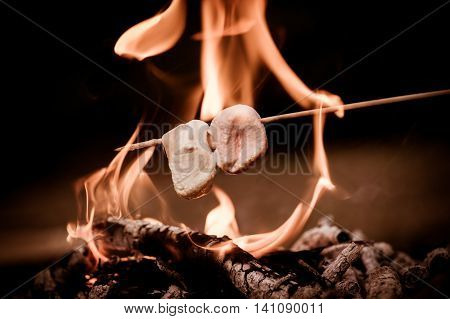 Close-up of marshmallows roasting in campfire in forest