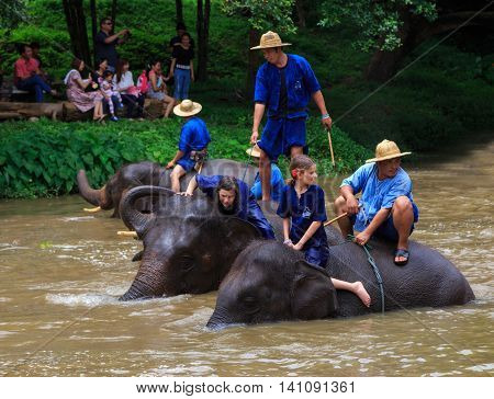 Lampang Thailand July2016: Daily elephant shower show at The Thai Elephant Conservation Center July2016 in Lampang Thailand.