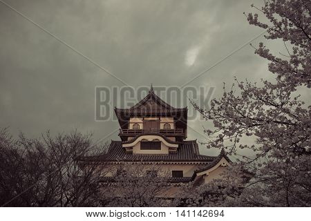 Inuyama Castle Historic Building Landmark In Spring With Beautiful Cherry Blossom