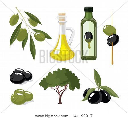 vector illustrations set of Olives, tree, oil botles and leaf isolated on white background. Pictures for your personal design project.