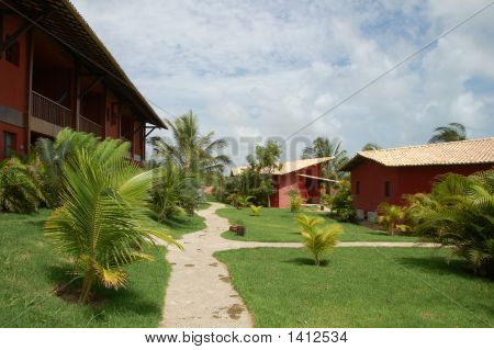 Kompleks Dunas Natureza