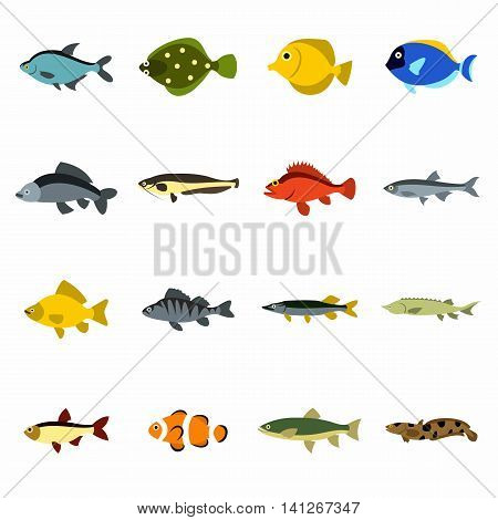 Flat fish icons set. Universal fish icons to use for web and mobile UI, set of basic fish elements isolated vector illustration