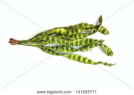 Stink bean (Parkia speciosa Hassk.) or sa-tor Native vegetation in the south of Thailand on white background isolated