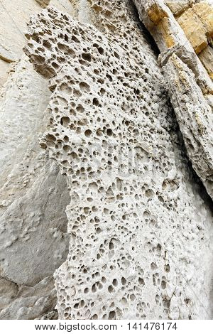 Detail of rock on Portio Beach in Pielagos Cantabria Spain.