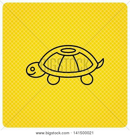 Turtle icon. Tortoise sign. Tortoiseshell symbol. Linear icon on orange background. Vector