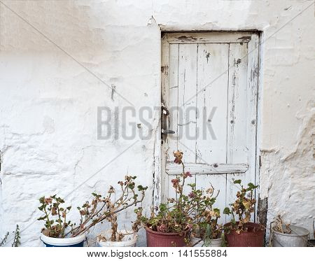 Old white wooden door with flower pots in front of it