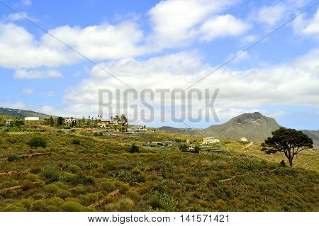 Boca Tauce in Mount Teide National Park